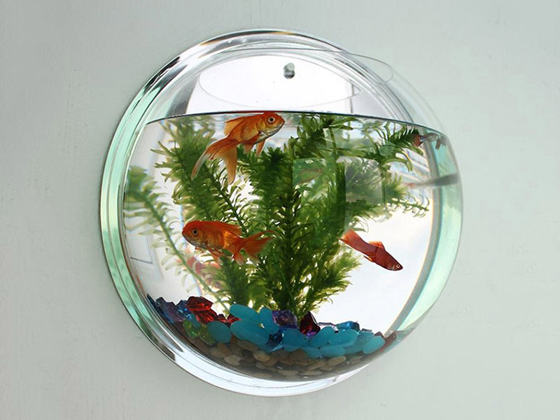 掛墻式亞克力半圓魚缸